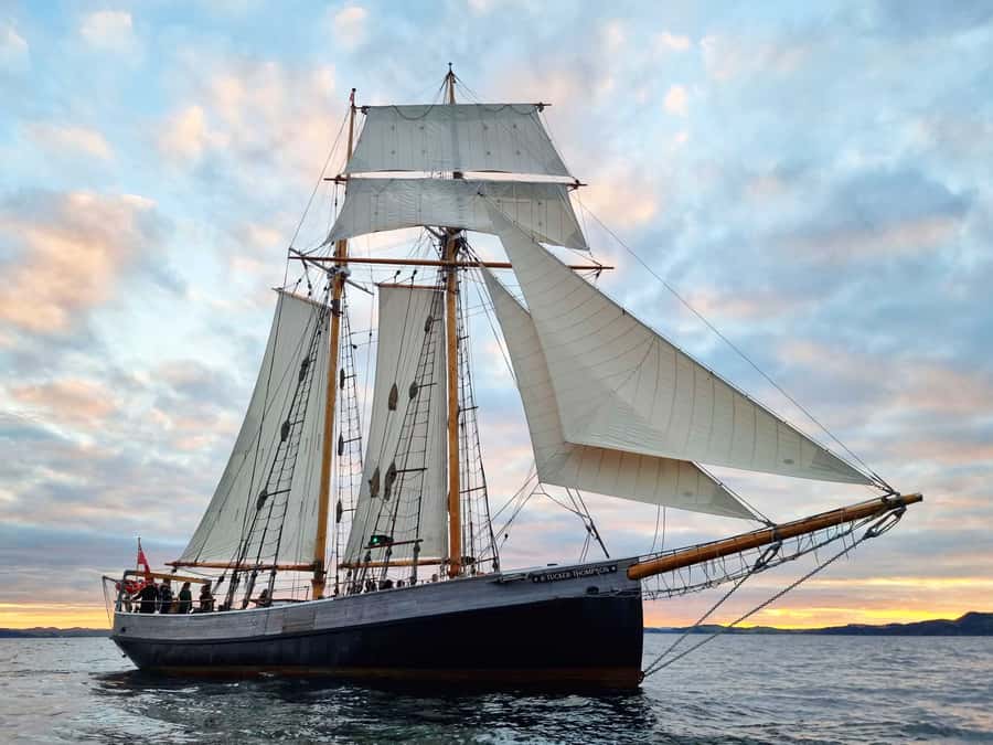 Bay of Islands: Late Afternoon Sailing Cruise - Sailing the inner bay from 4pm