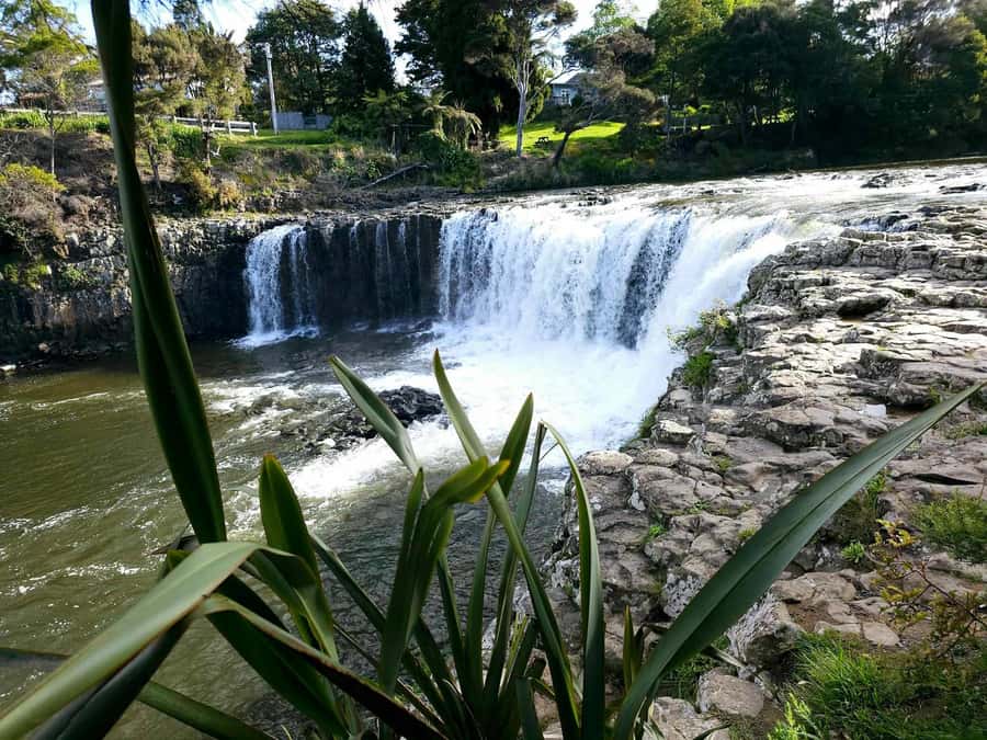Bay of Islands - Mini Tour (75-90 mins) - Why this short Paihia tour works