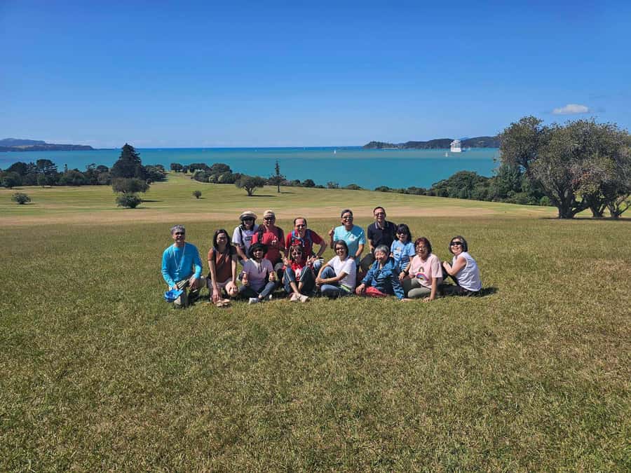 Bay of Islands - Mini Tour (75-90 mins) - Opua Bay and Marina: the best photo pause