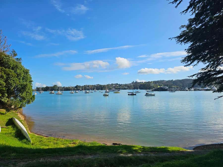 Bay of Islands - Mini Tour (75-90 mins) - Waitangi Lookout and the wide final view
