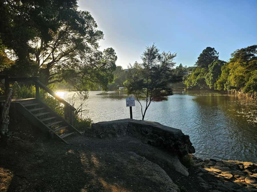 Bay of Islands - Mini Tour (75-90 mins) - The Waitangi Treaty Grounds drop-off