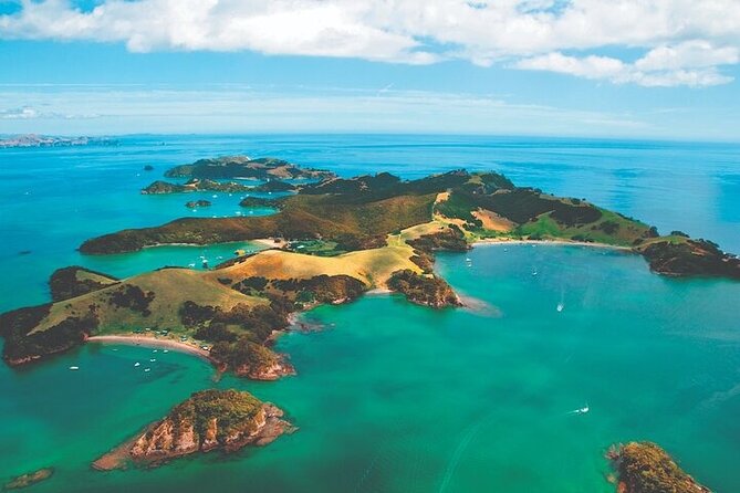 Bay of Islands Private Tour - Auckland to Paihia: three hours of changing scenery