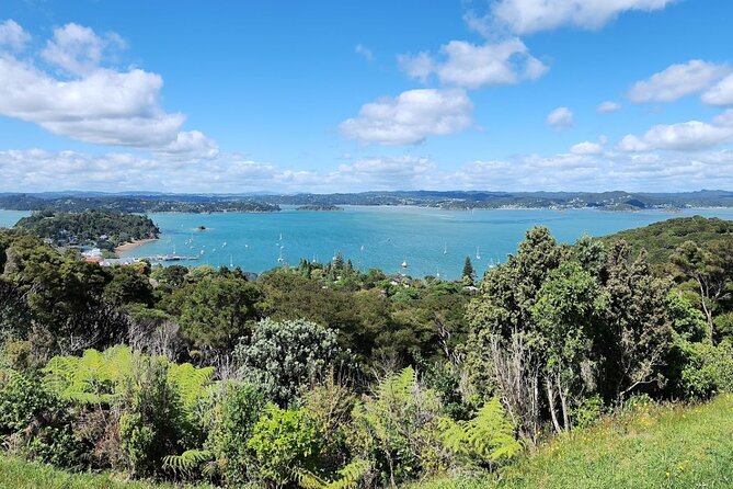 Bay of Islands Scenic Tour - Why This Tour Works for a First Look