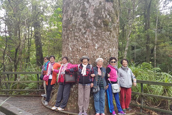 Bay of Islands Shore Excursion: Puketi Rainforest Guided Walk - How hard is the walk?