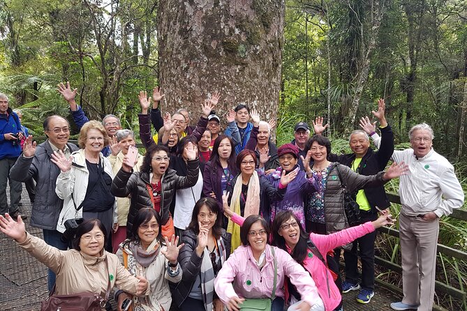 Bay of Islands Shore Excursion: Puketi Rainforest Guided Walk - Is $157.01 a fair price?