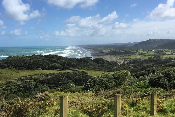 Beautiful Nature Tours Auckland - Private Tour - A guide who makes the route personal
