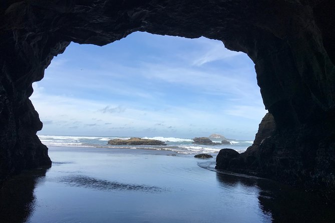 Beautiful Nature Tours Auckland - Private Tour - Who will get the most from this tour