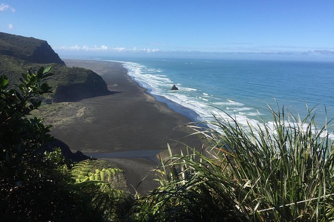 Beautiful Nature Tours Auckland - Private Tour - Muriwai Gannet Colony, the morning’s main wildlife stop