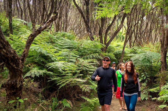 Best Abel Tasman Day trip - Lunch, drinks, and the little comforts
