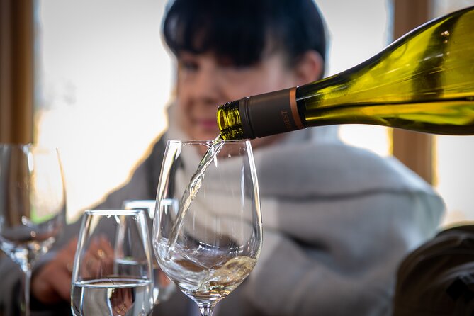 Beyond the Vines - Full-Day Marlborough Wine Tasting Tour - Why this Marlborough tour works well