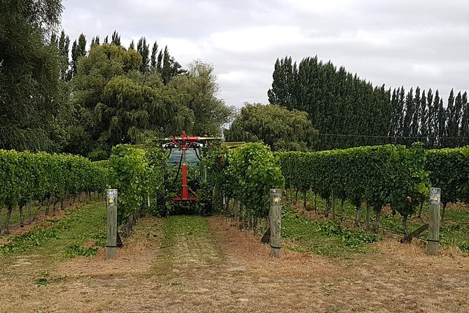 Beyond the Vines - Full-Day Marlborough Wine Tasting Tour - The guides make or break the day