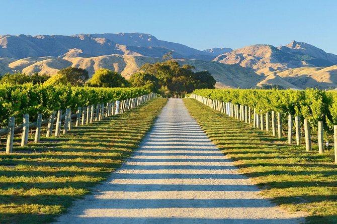 Beyond the Vines - Full-Day Marlborough Wine Tasting Tour - From Picton or Blenheim into wine country