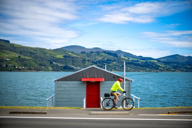 Bike Ferry Portobello to Port Chalmers and Quarantine Island - Weather, fitness, and the small-group format