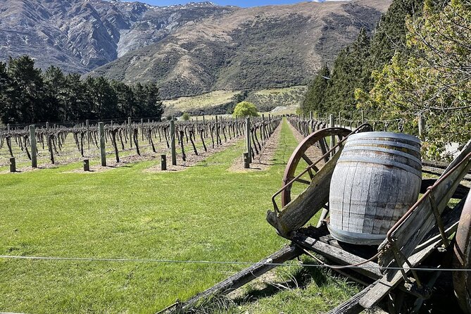 Bike & Wine Tour: Arrowtown to Valley of the Vines - Key Points Before You Book