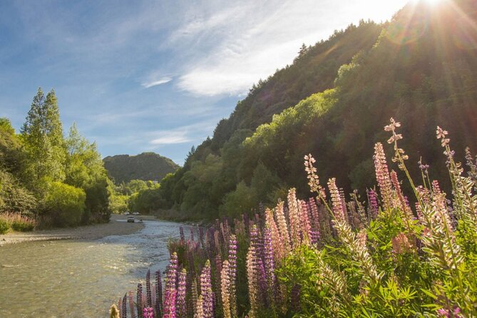 Bike & Wine Tour: Arrowtown to Valley of the Vines - Choosing Between a Standard Bike and an E-Bike