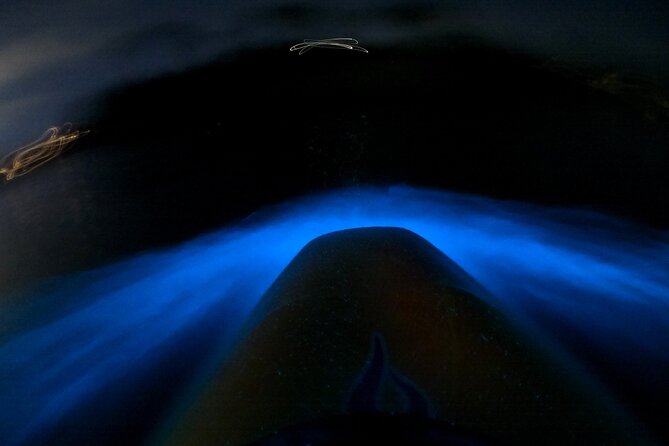 Bioluminescence Kayak Tour - Est. 1994 - Quick points before you book