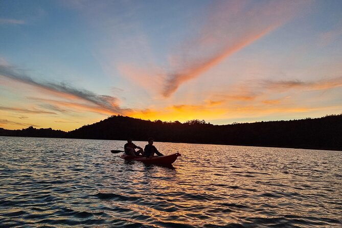 Bioluminescence Kayak Tour - Est. 1994 - What this Auckland night kayak is really like