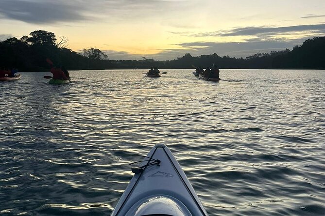 Bioluminescence Kayak Tour - Est. 1994 - Entering Long Bay and the Okura Marine Reserve
