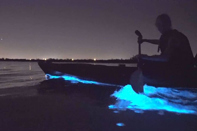 Bioluminescence Kayak Tour - Est. 1994 - The stars, birds, and quiet water