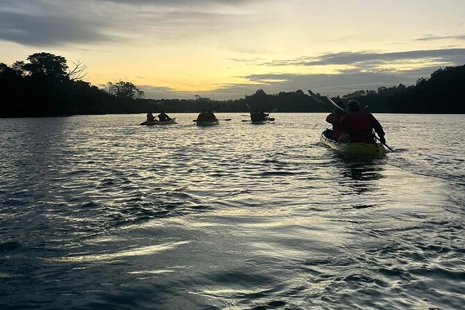 Bioluminescence Kayak Tour - Est. 1994 - What to wear and what to bring