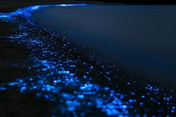 Bioluminescence Kayak Tour - Est. 1994 - Learning to kayak before darkness takes over