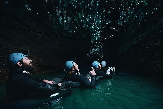 Black Abyss: Ultimate Waitomo Caving - Private Tour from Auckland - The Bombay Hills and the road south