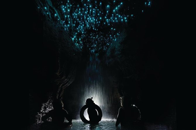 Black Water Rafting Experience Waitomo Caves Tour - Key points to know before you go