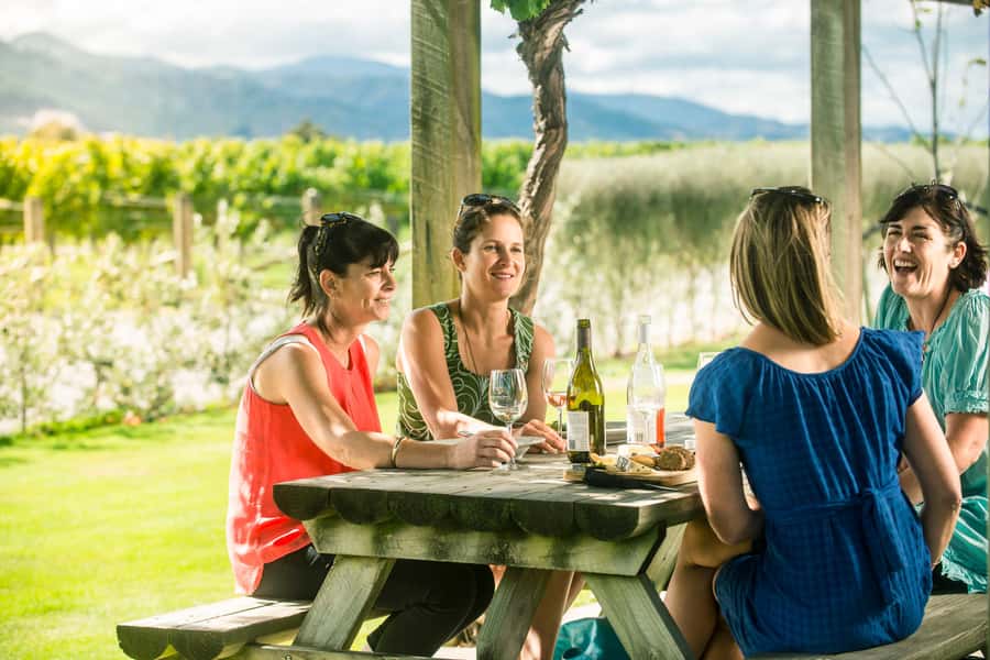 Blenheim/Renwick: Marlborough Half-Day Wine Tour with Lunch - Pickup from Blenheim or Renwick