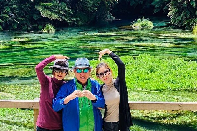 Blue Springs, Redwood Forest, Huka Falls Private tour - A private vehicle changes the feel of the day