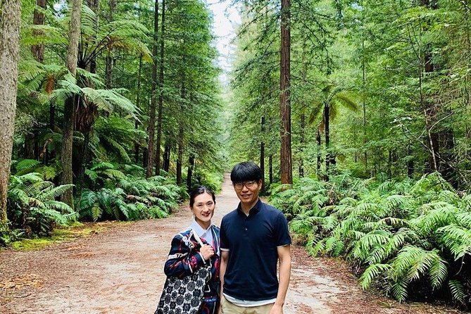 Blue Springs, Redwood Forest, Huka Falls Private tour - Is $496.46 per person fair value?