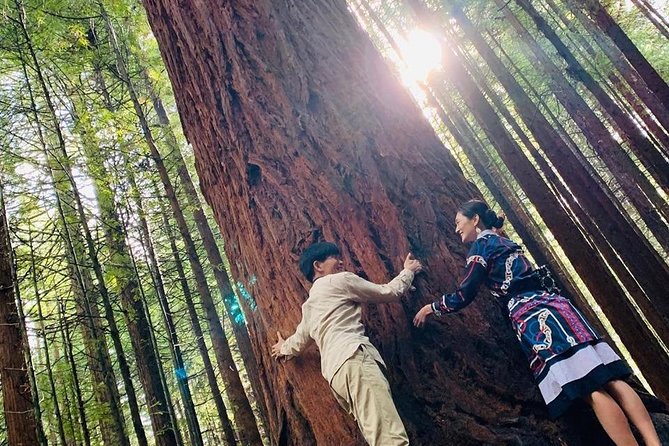 Blue Springs, Redwood Forest, Huka Falls Private tour - Who should book this day?