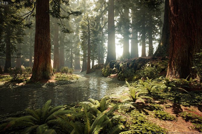 Blue Springs, Redwood Forest, Huka Falls Private tour - The Blue Spring walk begins the day with calm water