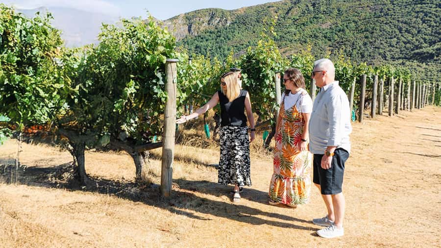 Boutique Winery Half-Day Tour & Vineyard Platter-Style Lunch - The 11:00 departure and the road through Kawarau Gorge