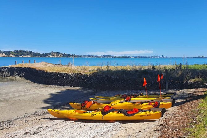 Browns Island Motukorea Sea Kayak Tour - Starting at St Heliers Bay at 10:00 am