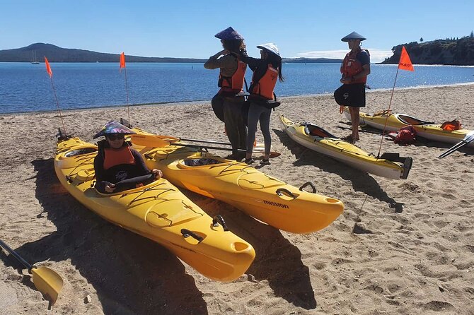 Browns Island Motukorea Sea Kayak Tour - A practical verdict on the Browns Island experience
