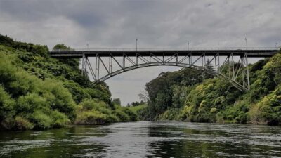 Cambridge, Matamata, Waitomo: 1-Hour Ecological River Cruise