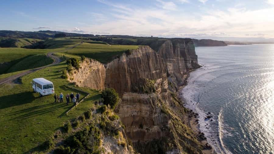 Cape Kidnappers: Gannet Colony Exclusive Sunrise Tour - Meeting point, timing, and useful planning details