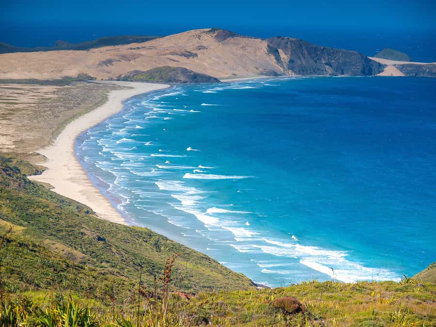 Cape Reinga: Day Trip from Paihia, Kerikeri, or Kaitaia - Key points at a glance