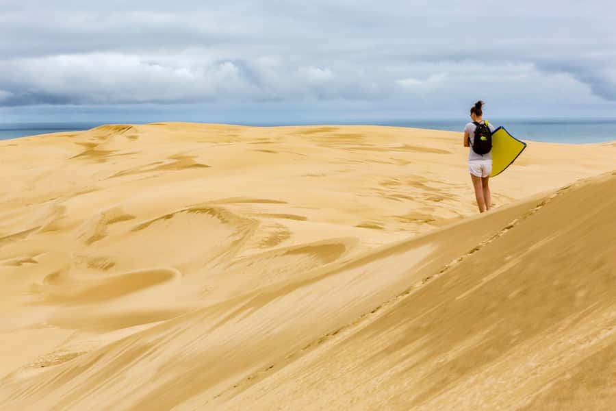 Cape Reinga: Day Trip from Paihia, Kerikeri, or Kaitaia - Why Cape Reinga deserves a full day