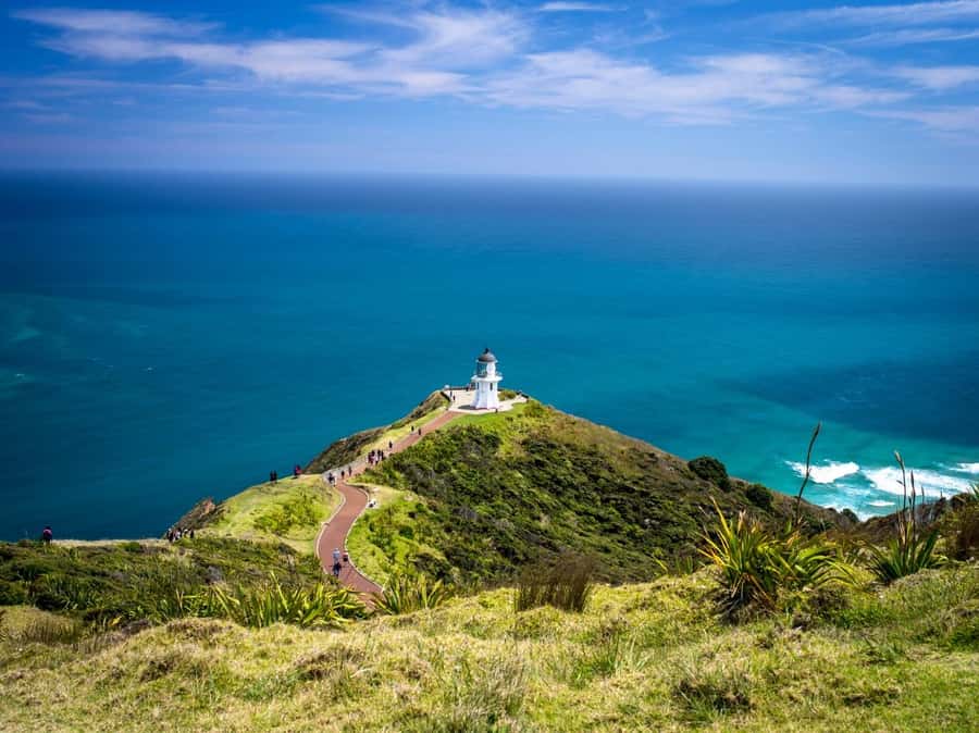 Cape Reinga: Day Trip from Paihia, Kerikeri, or Kaitaia - The road north to 90 Mile Beach