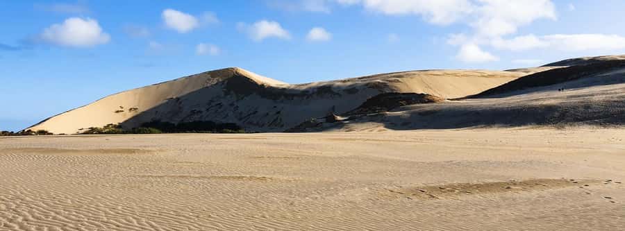 Cape Reinga: Day Trip from Paihia, Kerikeri, or Kaitaia - Who will enjoy this trip most?