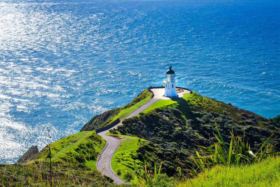Cape Reinga: Day Trip from Paihia, Kerikeri, or Kaitaia - Pickups from Paihia, Kerikeri, and Northland towns