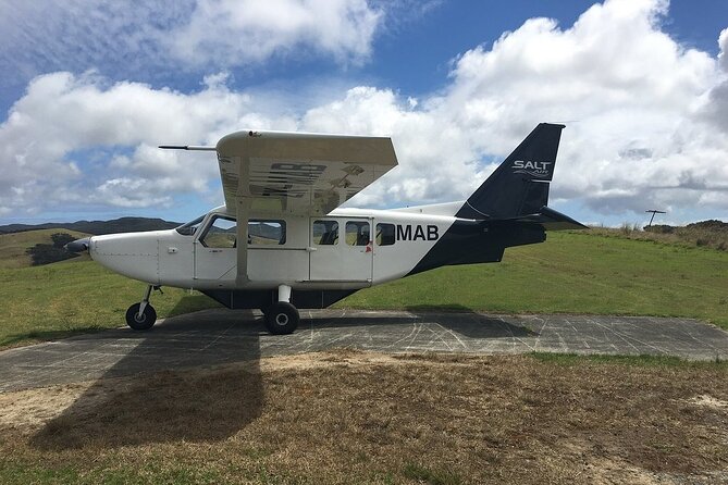 Cape Reinga Half-Day Tour Including Scenic Flight - The northbound flight over Ninety Mile Beach