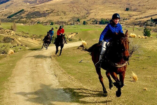 Cardrona High Country Pub Trail Horse Trek (Intermediate level+) - River crossings and faster riding