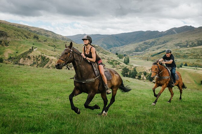 Cardrona High Country Pub Trail Horse Trek (Intermediate level+) - The Cardrona Hotel stop
