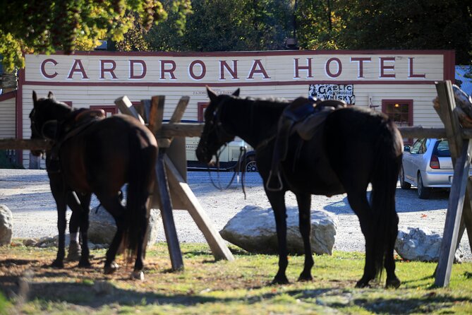 Cardrona High Country Pub Trail Horse Trek (Intermediate level+) - Horses, guides, and group size