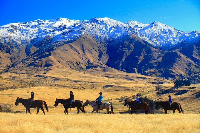 Cardrona High Country Pub Trail Horse Trek (Intermediate level+) - Choosing the right horse and riding level