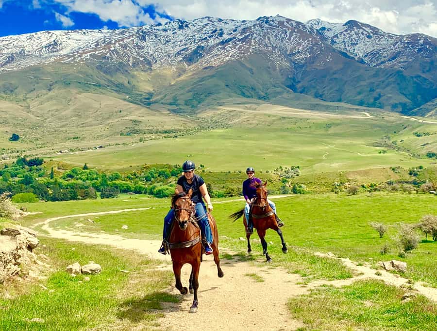 Cardrona Valley: Horse Trekking Experience - Choosing between the Gold Discovery and High Country trails