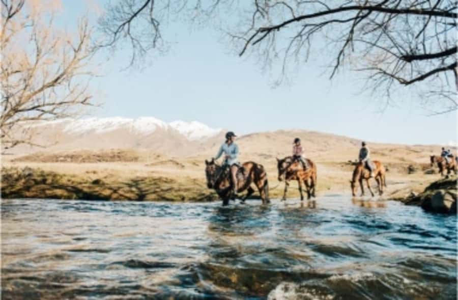 Cardrona Valley: Horse Trekking Experience - Is the $298 price good value?