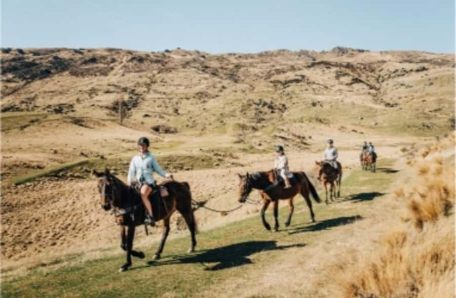 Cardrona Valley: Horse Trekking Experience - Who should book this Cardrona ride?